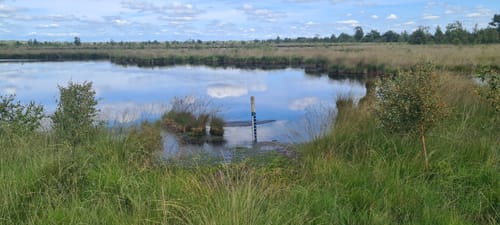 Bargerveen Lange Wandelroute