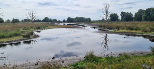 Bargerveen Lange Wandelroute