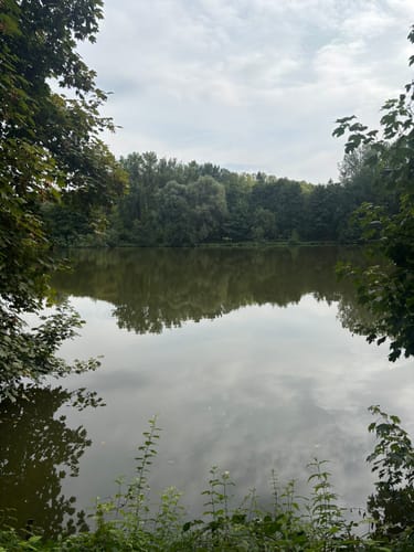 Premiumstadtwanderweg: Tecklenburger Romantik