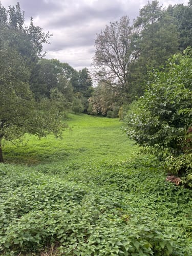 Premiumstadtwanderweg: Tecklenburger Romantik