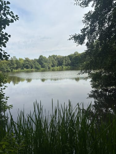 Premiumstadtwanderweg: Tecklenburger Romantik