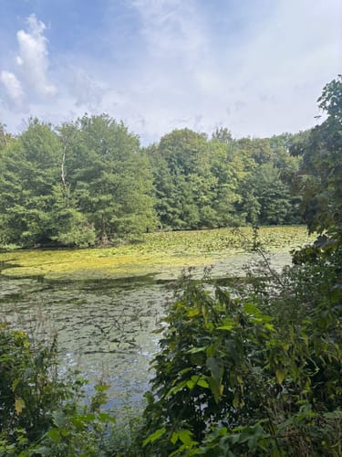Premiumstadtwanderweg: Tecklenburger Romantik