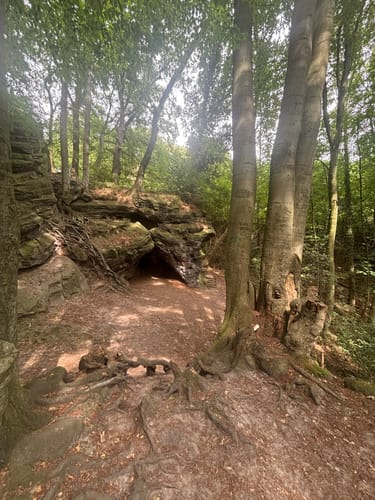 Premiumstadtwanderweg: Tecklenburger Romantik