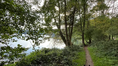 Pulvermaar Rundwanderung