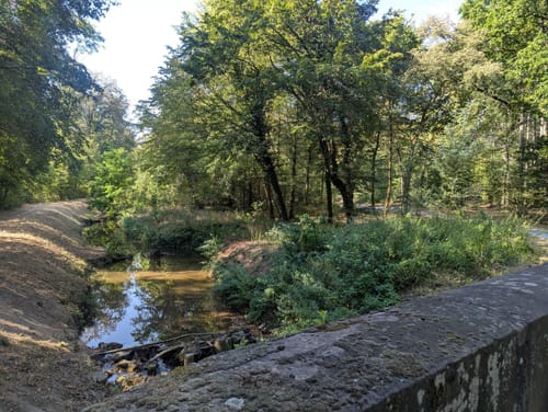 Von Walldorf um Schwetzinger Hardt und Hockenheim