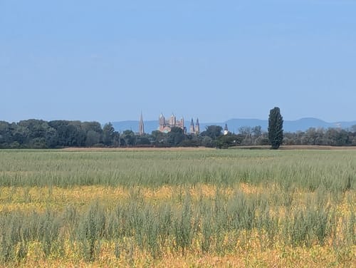 Von Walldorf um Schwetzinger Hardt und Hockenheim