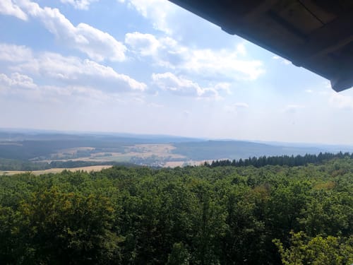 Zauberwald (Premiumspazierwanderweg)