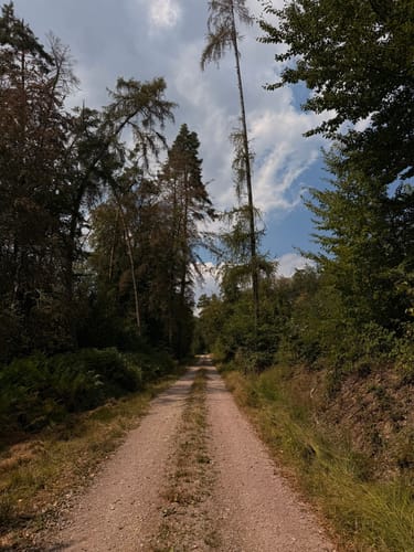 Rundwanderweg Hase Frauenstein