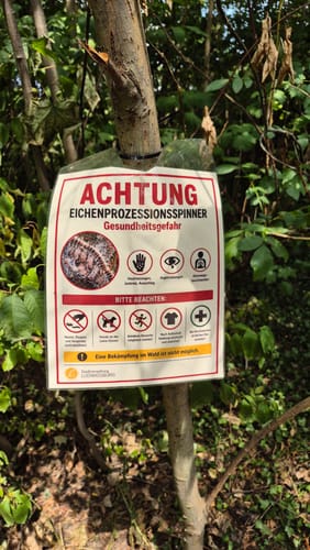Über die Felder am Golfclub Neckartal