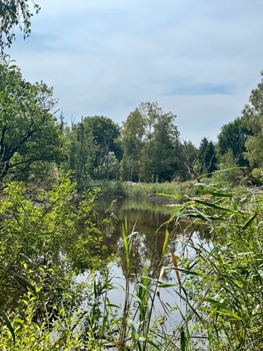 Tackenbendener-Runde (Premium-Spazierwanderweg)