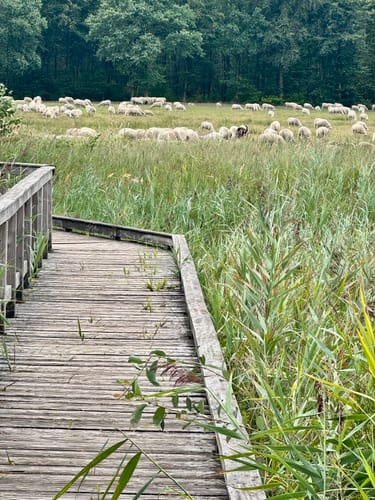 Tackenbendener-Runde (Premium-Spazierwanderweg)