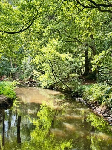 Tackenbendener-Runde (Premium-Spazierwanderweg)