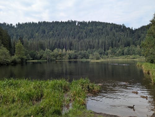Sankenbachsteig (Premiumwanderweg)