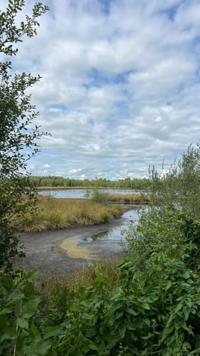 Himmelmoor Rundwanderung