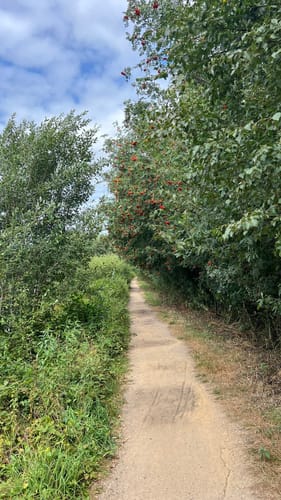 Himmelmoor Rundwanderung
