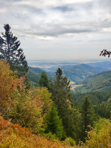 Hofsgrund und Schauinsland
