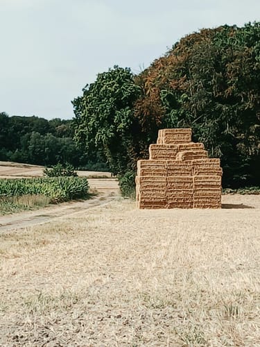 Teutoburger Wald-Rundfahrt