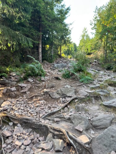 Rund um die Hornisgrinde