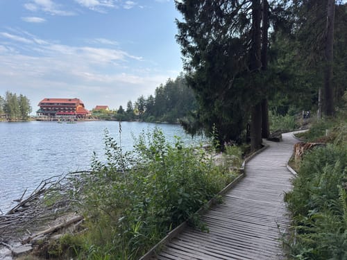 Rund um die Hornisgrinde