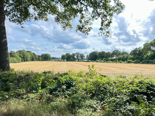 Rundtour durch Wakendorf Ⅱ zur Alsterniederung