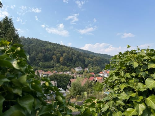 Rund um den Wurstberg