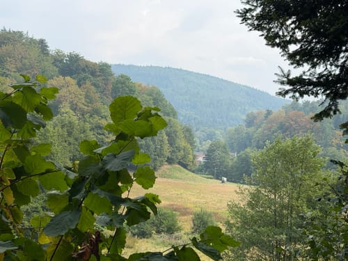 Rund um den Wurstberg