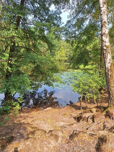 Um den Kesselbruchweiher