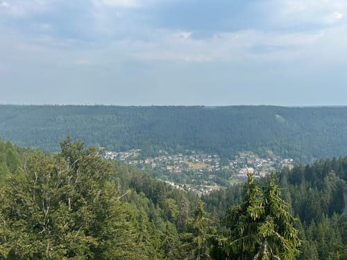 Wildline Hängebrücke