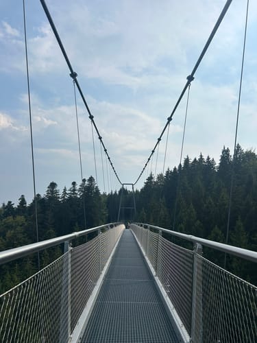 Wildline Hängebrücke