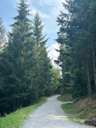 Wildline Hängebrücke
