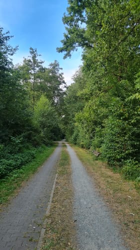 Rund um die Ostring Teiche