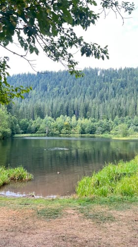 Sankenbachsteig (Premiumwanderweg)