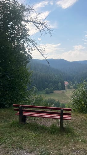 Sankenbachsteig (Premiumwanderweg)