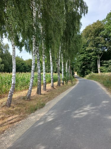 Teutoburger Wald-Rundfahrt