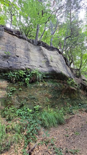 Kirkeler Tafeltour (Premiumwanderweg)