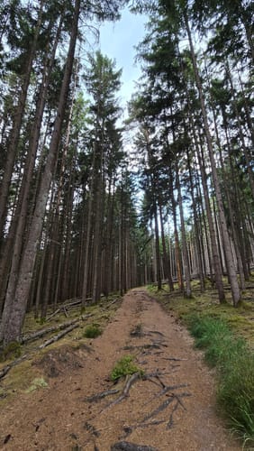 Kirkeler Tafeltour (Premiumwanderweg)