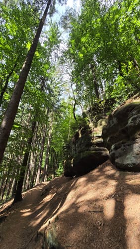 Kirkeler Tafeltour (Premiumwanderweg)