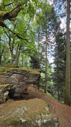 Kirkeler Tafeltour (Premiumwanderweg)