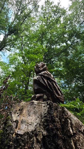 Kirkeler Tafeltour (Premiumwanderweg)