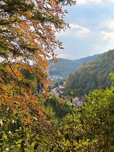Premiumspazierwanderweg: Panoramawegle