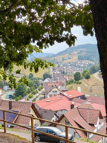 Premiumspazierwanderweg: Panoramawegle
