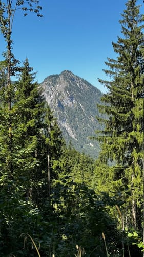 Saletalm - Gotzenalm - Königssee Parkplatz