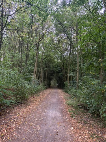 Butendorf Rundweg A3