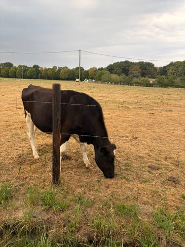 Butendorf Rundweg A3