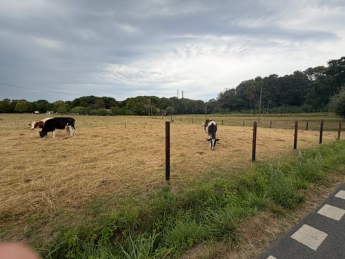 Butendorf Rundweg A3