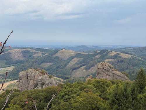 Rund um das Naturschutzgebiet Bruchhauser Steine