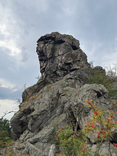 Rund um das Naturschutzgebiet Bruchhauser Steine