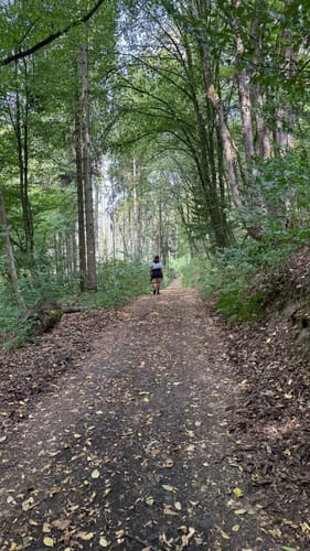 Bad Berneck - Rundweg Thiesenring