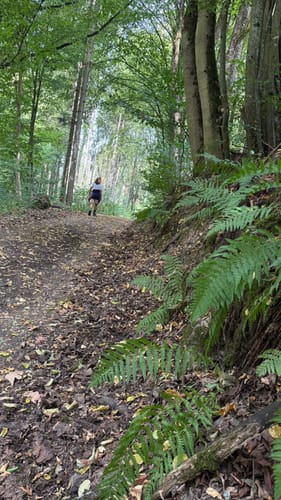 Bad Berneck - Rundweg Thiesenring