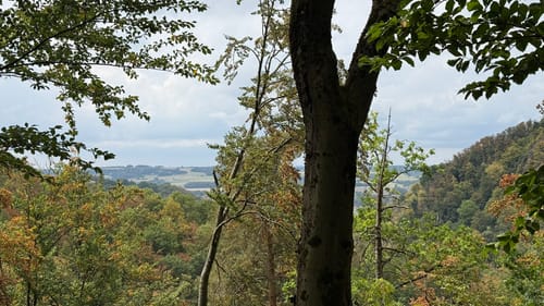 Bad Berneck - Rundweg Thiesenring